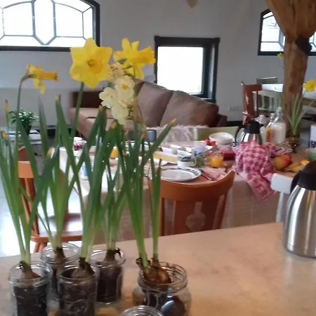 Bed & Breakfast De Hostee Stolwijk