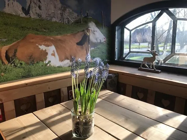 Oda ve Kahvaltı De Hostee